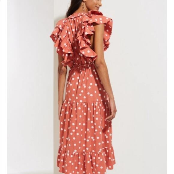 New Roller Rabbit Polkadot Tiered Dress - Picture 2 of 9